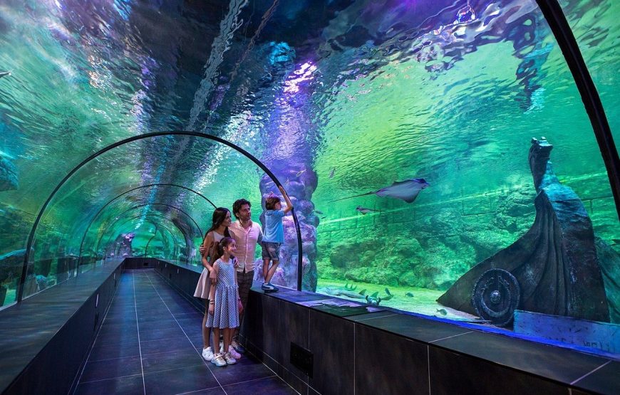 رحلة صبنجة والمعشوقية